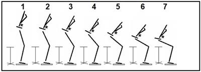 The influence of smoothness and speed of stand-to-sit movement on joint kinematics, kinetics, and muscle activation patterns